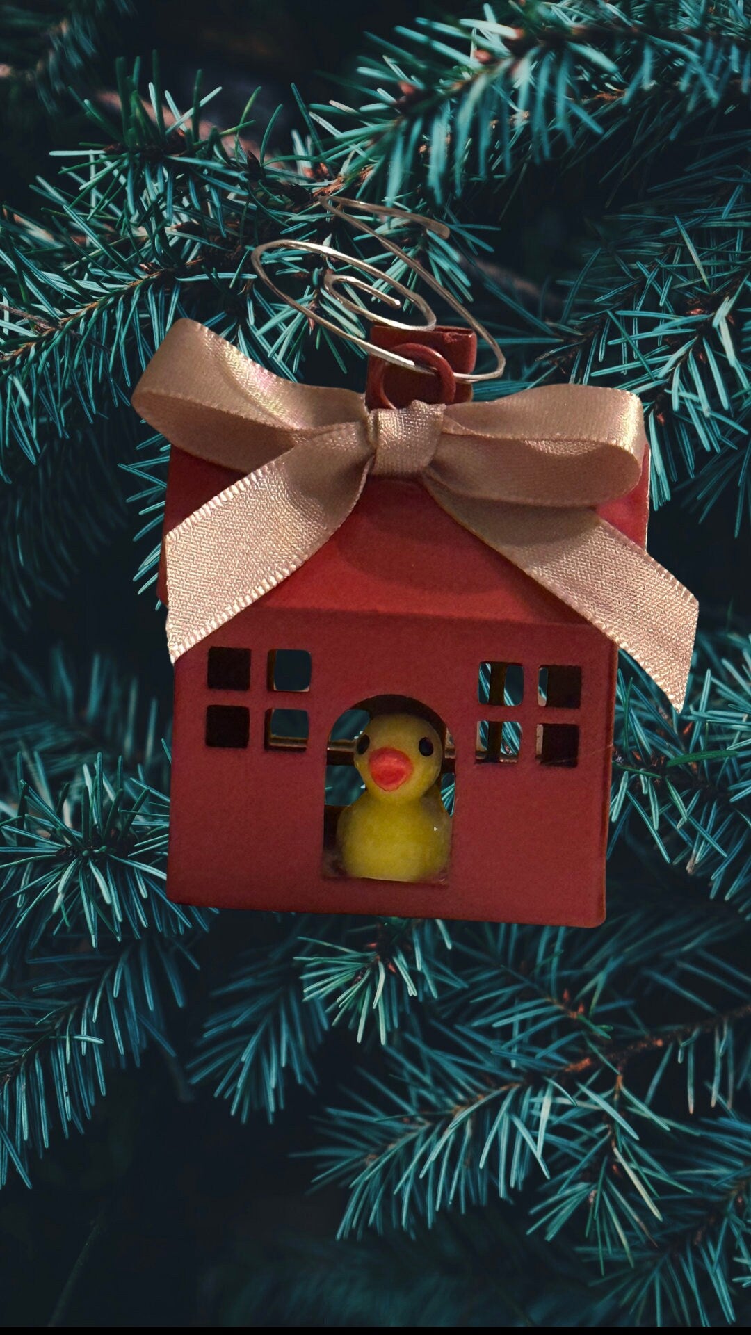 Rubber Duck Christmas Ornament: Red House Tree Decor