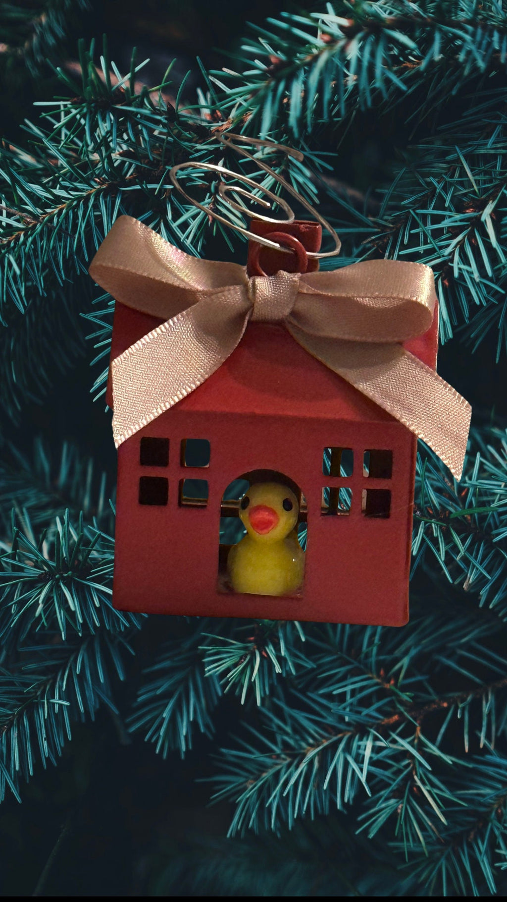 Rubber Duck Christmas Ornament: Red House Tree Decor