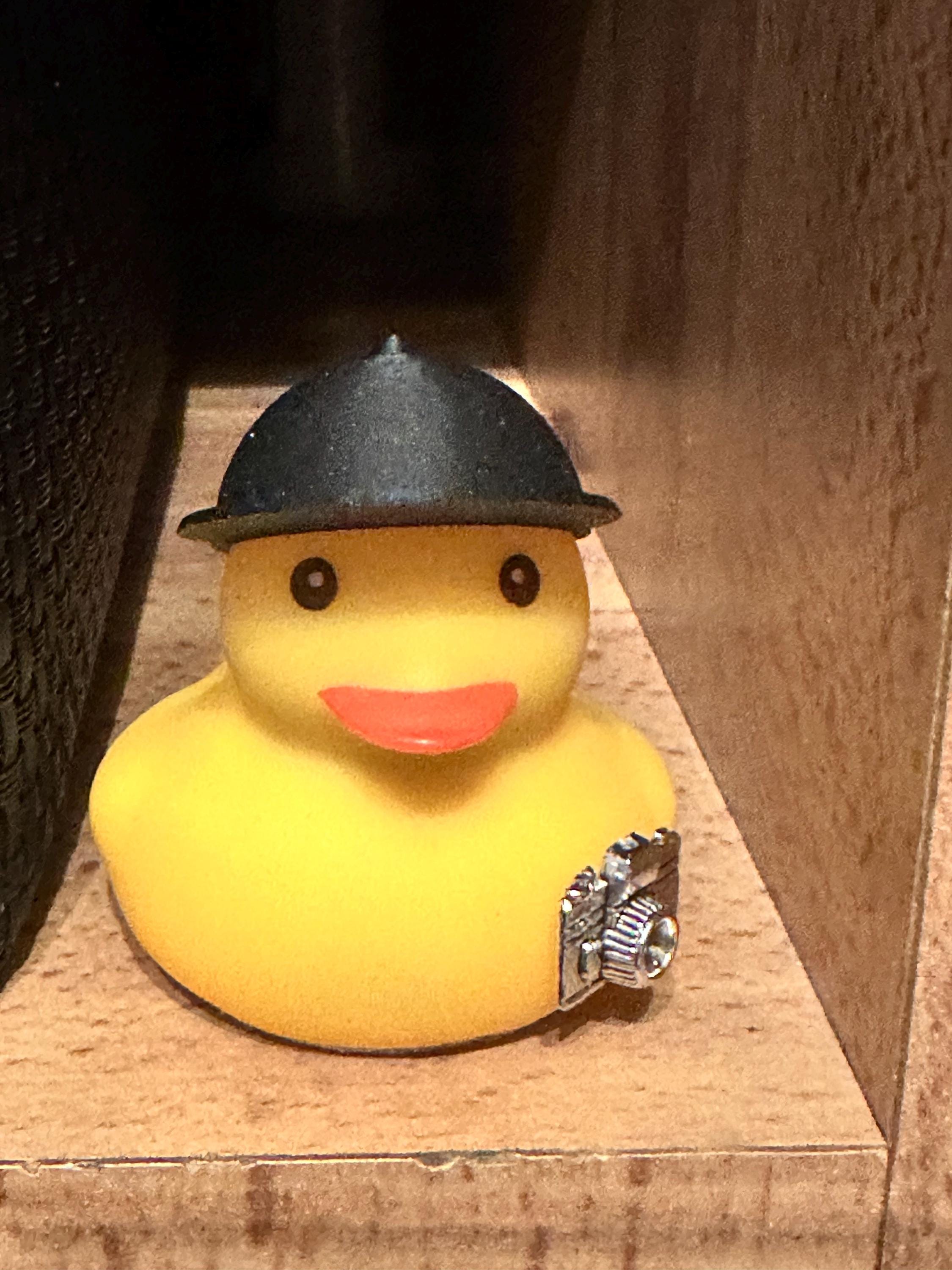 Photographer Rubber Duck, Travel Gift, Graduation Duck