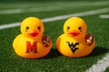 College Football Rubber Duck: Game Day, Favorite Team Helmet, Sports Fan Gift, Dorm decor